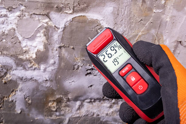 Best Kitchen Mold Remediation in Columbus, TX