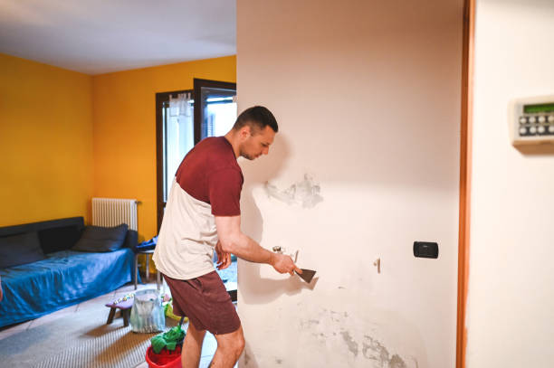 Best Basement Mold Remediation in Columbus, TX